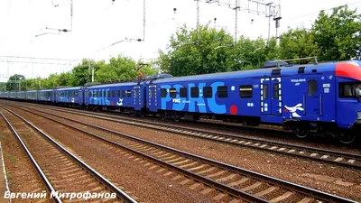 Файл:Электропоезд ЭД4М в окраске РЭКС на станции Мытищи.jpeg — Википедия