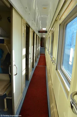 Фото поезда Северная Пальмира