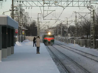Остановите поезд, я сойду»: новосибирец случайно уехал в Кузбасс, перепутав  товарняк с электричкой - KP.RU