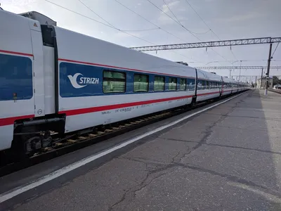 Скоростной поезд «Стриж» свяжет Санкт-Петербург с городами Поволжья в конце  лета | Туристический бизнес Санкт-Петербурга