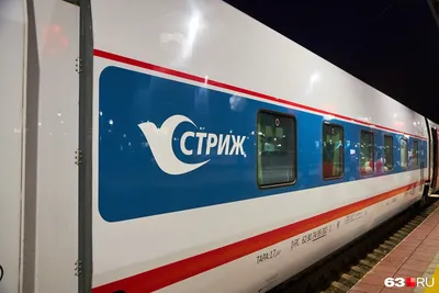 Поезд «Стриж» сняли с маршрута Самара — Санкт-Петербург - 19 марта 2022 -  63.ru