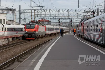 Поезда «Сапсан» и «Ласточка» отменят с 1 июня – Нижний сейчас