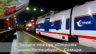 Поезда «Сапсан» и «Ласточка» отменят с 1 июня – Нижний сейчас
