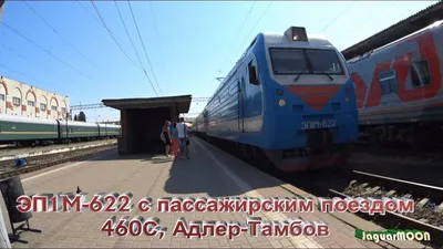Отзыв о Поезд 460С Адлер - Тамбов-1 | Как повезет с вагоном.