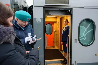 Поезд \"Таврия' Пермь-Симферополь - «На поезде с кошкой более 2 суток» |  отзывы