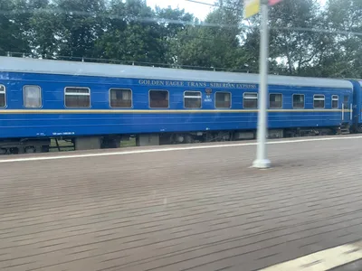 Туристы поезда \"Золотой орёл\" посетят провинцю Фарс - IRNA Pусский