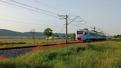 Первый зерновой поезд прибыл из Украины в Литву – REFORM.by