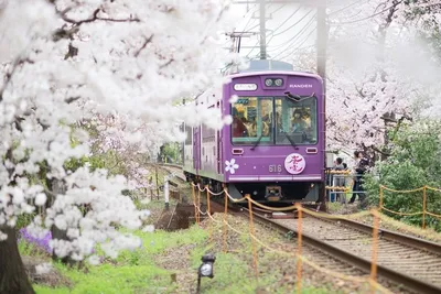 Поезда в Японии: скоростные пули-синкансэны и тематические составы