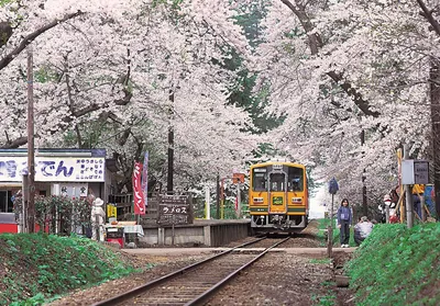 Высокоскоростные поезда-пули \"Синкансэн\" в Японии: smitsmitty — LiveJournal