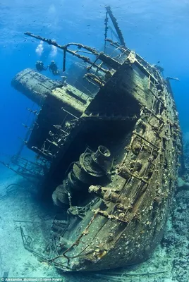 Прекрасные и печальные... затонувшие корабли (ФОТО, ВИДЕО)