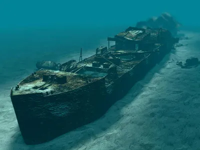 Wreck Diving - погружения на затонувшие объекты | Обучение дайвингу - Scuba  Academy