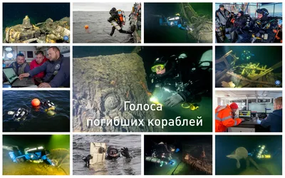 В Волгограде показали, где покоятся в Волге погибшие корабли: список с  координатами