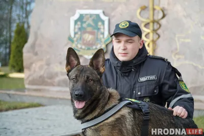 На Львовщине дрессируют собак для пограничников со всей страны