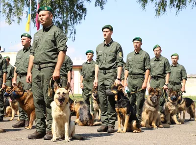 Пограничное сражение и бой собак с фашистами. Какие события реконструируют  «Наследники Побед» | Новости Приднестровья