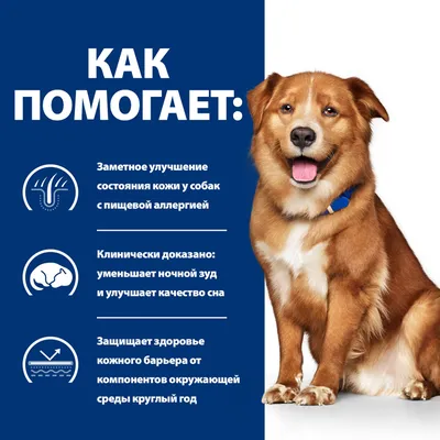 Собаковая смута. | ВКонтакте