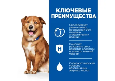 Хиллс ДЕРМ КОМПЛИТ лечебный сухой корм для собак для поддержания здоровья  кожи и шерсти при аллергии,