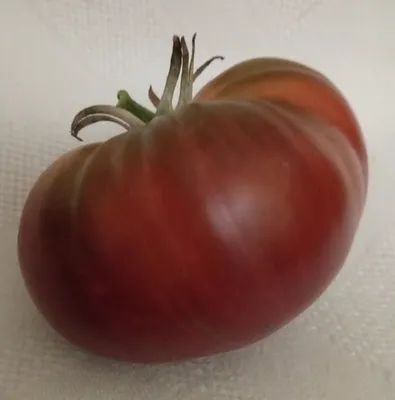 Выбираем томаты. Чем отличаются индетерминантные и детерминантные сорта? |  Огородничество, Овощные грядки, Маленькие огороды
