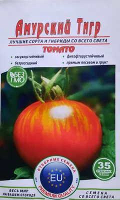 Самые необычные сорта томатов, которые можно вырастить в Средней полосе