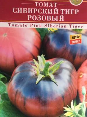 Семена томата Аэлита \"Амурский тигр\" - «Томаты Амурский тигр - красивый  сорт от всхожести до зрелых плодов» | отзывы