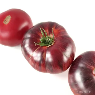 Какие бывают томаты: классификация видов, групп и сортов | Сад из бутылок,  Тепличное садоводство, Огород