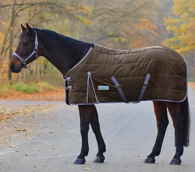 Попона флисовая для лошади TEMPEST \"Original\", 135 см, серый  (Великобритания) - купить с доставкой по выгодным ценам в интернет-магазине  OZON (1095023939)