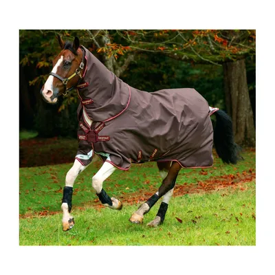 Попона для лошади, летние коврики для защиты от комаров и лошадей, сетка  для кондиционирования воздуха в помещении, одежда для лошадей | AliExpress