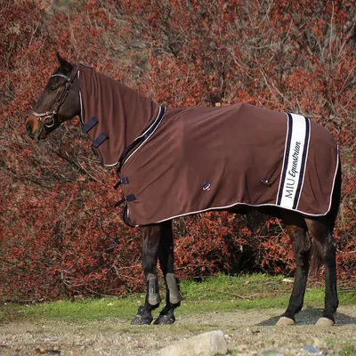 Попона Back on Track на плечи для лошади купить в конном магазин Индрик с  доставкой по России и СНГ