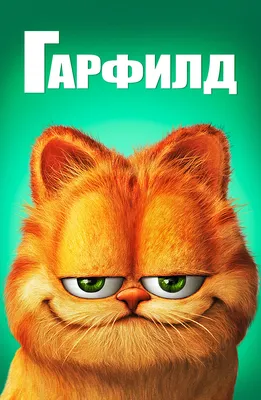 Почему рыжие кошки такие особенные | Разбираемся - Питомцы Mail.ru