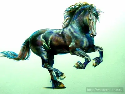 Фризская лошадь — голландская порода…» — создано в Шедевруме