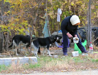 Конкор Кор купить, цена в Москве, Конкор Кор инструкция по применению: 2,5  мг, таблетки