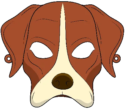 Ветеринар посоветовал не надевать на собак медицинские маски во время  выгула – Москва 24, 06.04.2020