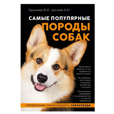 Кинологи назвали самые распространенные в России породы собак - Российская  газета