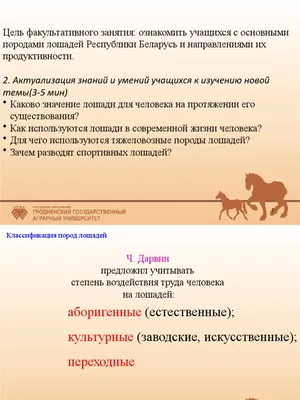 Голштинская порода лошадей. Сайт про зверей - ZveroSite.ru