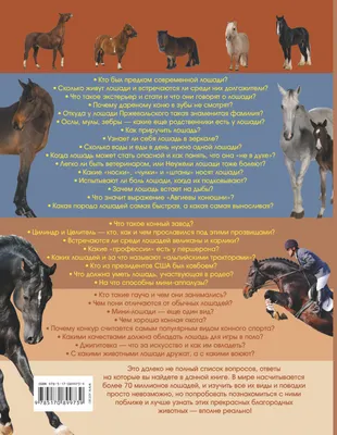 Породы лошадей: 🐎 названия, описание видов, характер, особенности, фото и  видео