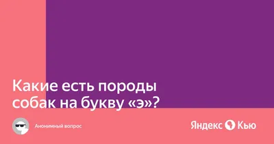 Какие есть породы собак на букву \"э\"?» — Яндекс Кью