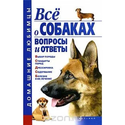 Под Москвой уже неделю ищут двух собак редкой породы ксоло. Поднимите  пожалуйста.Без рейтинга | Пикабу