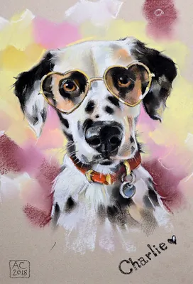 Portrait dog, портрет собаки корги, вельш корги | Собачьи портреты, Собаки,  Корги