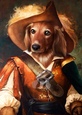 Портрет собаки с трубкой Раскраска картина по номерам на холсте Z-NA64  купить в Москве и СПб