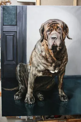 Как нарисовать портрет любимой собаки. Поэтапный мастер-класс для любителей  рисовать. | Рисуем вместе | Дзен