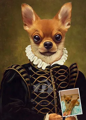 Заказать портрет собаки — по фото — я художник портретист —