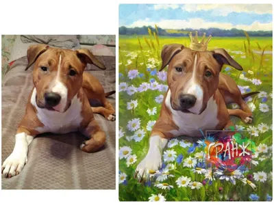 Портрет пса в образе, портрет собаки в костюме, картина с собакой, собака в  образе короля, портрет собаки (ID#2033907113), цена: 760 ₴, купить на  Prom.ua