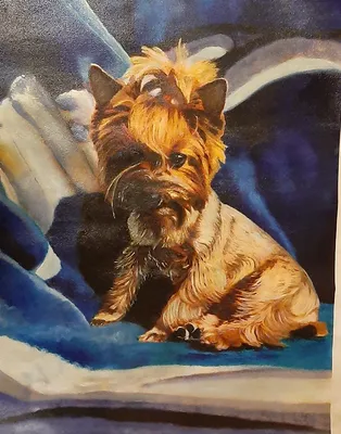 Портрет собаки акварелью \"Французский бульдог\" (на заказ, по фото, любая  порода) в магазине «TMETA» на Ламбада-маркете