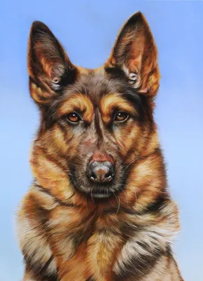 Мемориальный подарок Портрет собаки: нарисовано художниками  вручную.................................
