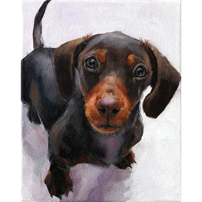 Портрет собаки Собака без породы Стоковое Фото - изображение насчитывающей  собачий, друг: 114546082