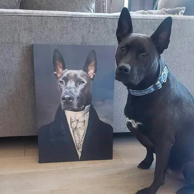 Картина собаки на холсте купить - Портреты и шаржи по фотографии в  Екатеринбурге