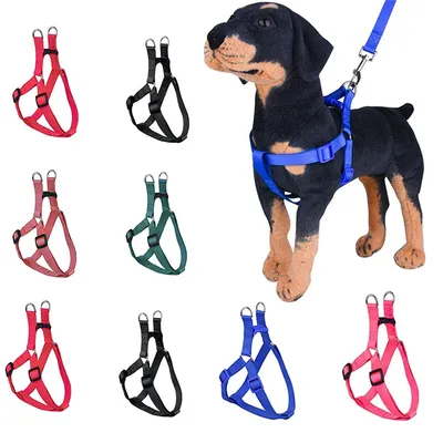Поводок для собак с карабином 3 метра, черно-красный, до 40кг. - купить с  доставкой по выгодным ценам в интернет-магазине OZON (718214609)