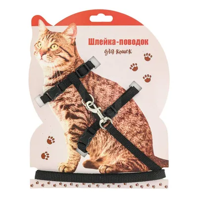 Шлейка-поводок для кошек - отзывы покупателей на маркетплейсе Мегамаркет |  Артикул товара:100036576949