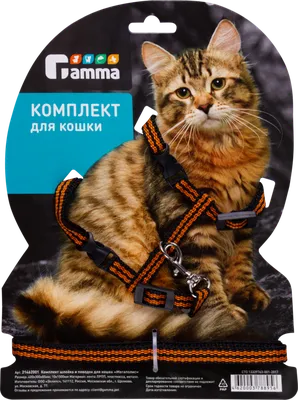 AnimAll Поводок-шлея на блистере для кошек 10 мм, 110/115-140/180 мм  (2008630) - купить на Korm.com.ua