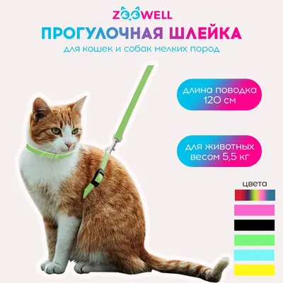 Комплект поводок 1,5м + шлейка для кошек, стропа (Зооник) - купить по  выгодной цене.
