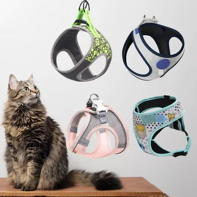 Мягкая кошачья шлейка с поводком ZOOWELL для кошек, набор шлейки и поводка,  разноцветный — купить в интернет-магазине по низкой цене на Яндекс Маркете